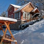 Kirayə (günlük) 5 otaqlı Bağ evi Quba 5