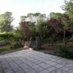 Kirayə (günlük) 3 otaqlı Bağ evi Lənkəran 12