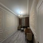 Kirayə (aylıq) 2 otaqlı Yeni Tikili, Nərimanov rayonu 2
