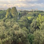 Продажа 3 комнатная Новостройка, Сябаиль район 7