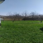 Satılır Torpaq Qəbələ 1