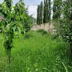 Satılır 5 otaqlı Həyət evi/villa Quba 3