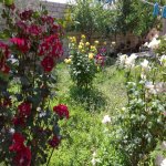 Satılır 6 otaqlı Həyət evi/villa Sumqayıt 5
