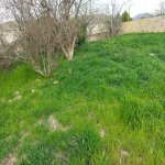 Satılır Torpaq, Digah, Abşeron rayonu 7