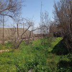 Продажа Участок, м. Азадлыг метро, 7-ой микрорайон, Бинагадинский р-н район 5