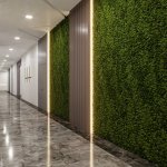 Kirayə (aylıq) 4 otaqlı Ofis, Nəriman Nərimanov metrosu, Nərimanov rayonu 8
