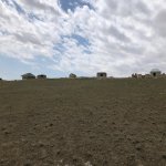 Satılır Torpaq, Hökməli, Abşeron rayonu 6