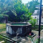 Kirayə (günlük) 3 otaqlı Bağ evi Şəki 3