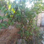 Satılır 3 otaqlı Həyət evi/villa Xırdalan 16