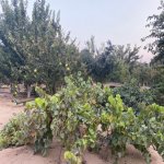 Satılır Torpaq, Mərdəkan, Xəzər rayonu 6