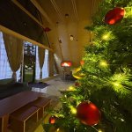 Kirayə (günlük) 4 otaqlı A frame evler Qəbələ 2