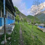 Satılır Torpaq Qəbələ 8