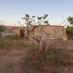 Продажа Участок, пос. Нардаран, Сабунчу район 4