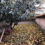 Kirayə (aylıq) 2 otaqlı Həyət evi/villa, Bakıxanov qəs., Sabunçu rayonu 9