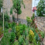 Kirayə (günlük) 4 otaqlı Həyət evi/villa Oğuz 14
