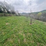 Satılır Torpaq Quba 7