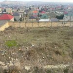 Продажа Участок, Новханы, Абшерон район 3