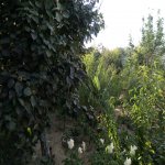 Satılır 5 otaqlı Həyət evi/villa, Sabunçu rayonu 15