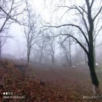 Kirayə (günlük) 3 otaqlı Bağ evi Qəbələ 5