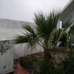 Satılır 3 otaqlı Həyət evi/villa, Qala, Xəzər rayonu 4