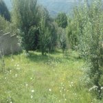 Satılır Torpaq Quba 8