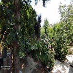 Satılır 7 otaqlı Bağ evi, Goradil, Abşeron rayonu 40