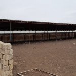 Satılır Torpaq Hacıqabul 3