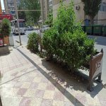 Kirayə (aylıq) Obyekt, Bakıxanov qəs., Sabunçu rayonu 6