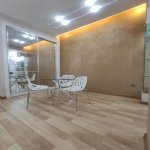Kirayə (aylıq) 2 otaqlı Yeni Tikili, Nizami metrosu, Nəsimi rayonu 16