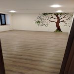 Kirayə (aylıq) 12 otaqlı Ofis, Gənclik metrosu, Gənclik Mall, Nəsimi rayonu 8