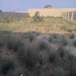 Satılır Torpaq, Kürdəxanı qəs., Sabunçu rayonu 4