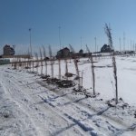 Satılır Torpaq, Neftçilər metrosu, Saray, Abşeron rayonu 4