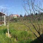 Satılır Torpaq, Mərdəkan, Xəzər rayonu 5