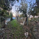 Продажа Участок Ленкорань 15