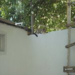 Satılır 4 otaqlı Həyət evi/villa, Qaraçuxur qəs., Suraxanı rayonu 43