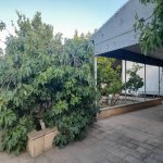 Satılır 8 otaqlı Bağ evi, Novxanı, Abşeron rayonu 6