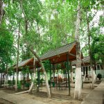 Satılır Obyekt Hacıqabul 6