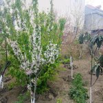 Satılır 3 otaqlı Həyət evi/villa Xırdalan 11