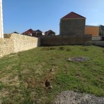 Satılır Torpaq, Saray, Abşeron rayonu 2
