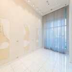 Kirayə (aylıq) Obyekt, Səbail rayonu 3