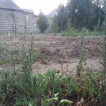 Satılır Torpaq, Masazır, Abşeron rayonu 1