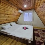 Kirayə (günlük) 4 otaqlı Həyət evi/villa Qəbələ 14