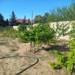 Kirayə (aylıq) 5 otaqlı Bağ evi, Mərdəkan, Xəzər rayonu 13