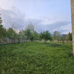 Satılır Torpaq Qəbələ 9