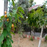 Satılır 3 otaqlı Bağ evi, Bilgəh qəs., Sabunçu rayonu 51