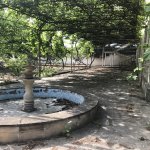 Satılır 5 otaqlı Bağ evi, Novxanı, Abşeron rayonu 5