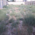 Satılır Torpaq, Mərdəkan, Xəzər rayonu 4
