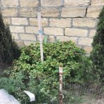Satılır Torpaq Xaçmaz 8