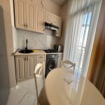 Kirayə (aylıq) 2 otaqlı Yeni Tikili, Nəriman Nərimanov metrosu, Heydər Əliyev Mərkəzi, Nərimanov rayonu 5