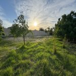 Продажа Участок, Новханы, Абшерон район 5